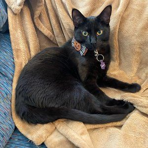 Meet your Posher, Janiece